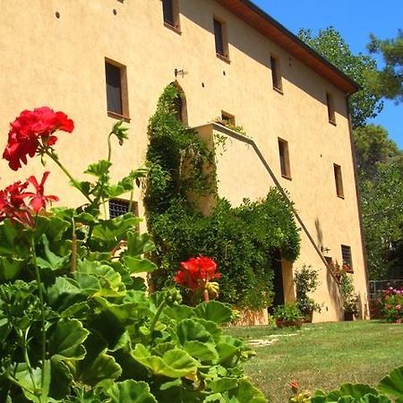 Agriturismo Lupo Vecchio 格罗塞托 外观 照片