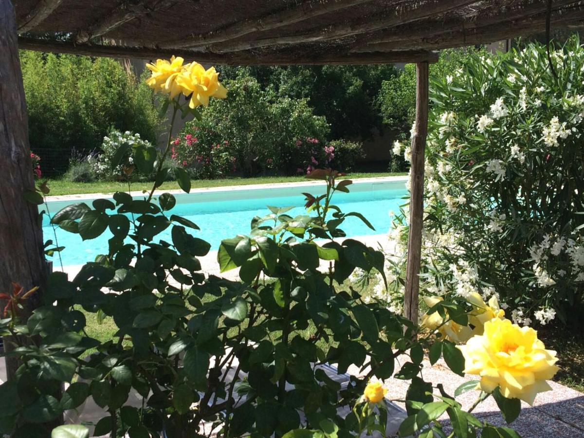 Agriturismo Lupo Vecchio 格罗塞托 外观 照片