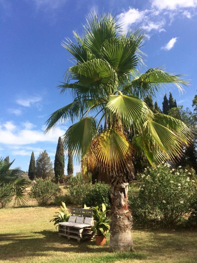 Agriturismo Lupo Vecchio 格罗塞托 外观 照片