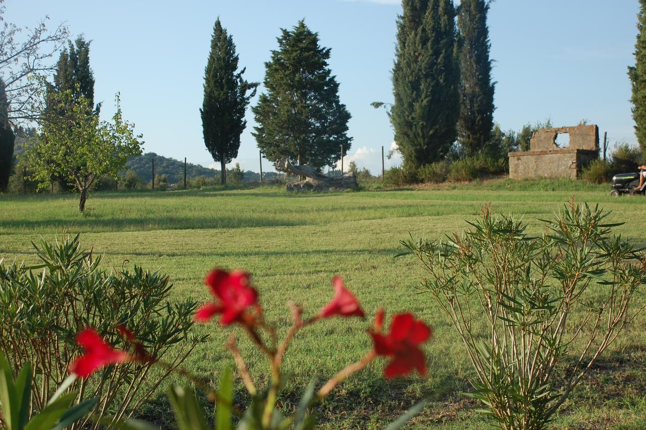 Agriturismo Lupo Vecchio 格罗塞托 外观 照片