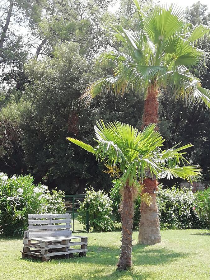 Agriturismo Lupo Vecchio 格罗塞托 外观 照片