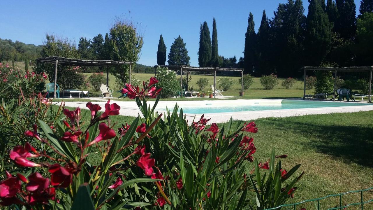 Agriturismo Lupo Vecchio 格罗塞托 外观 照片