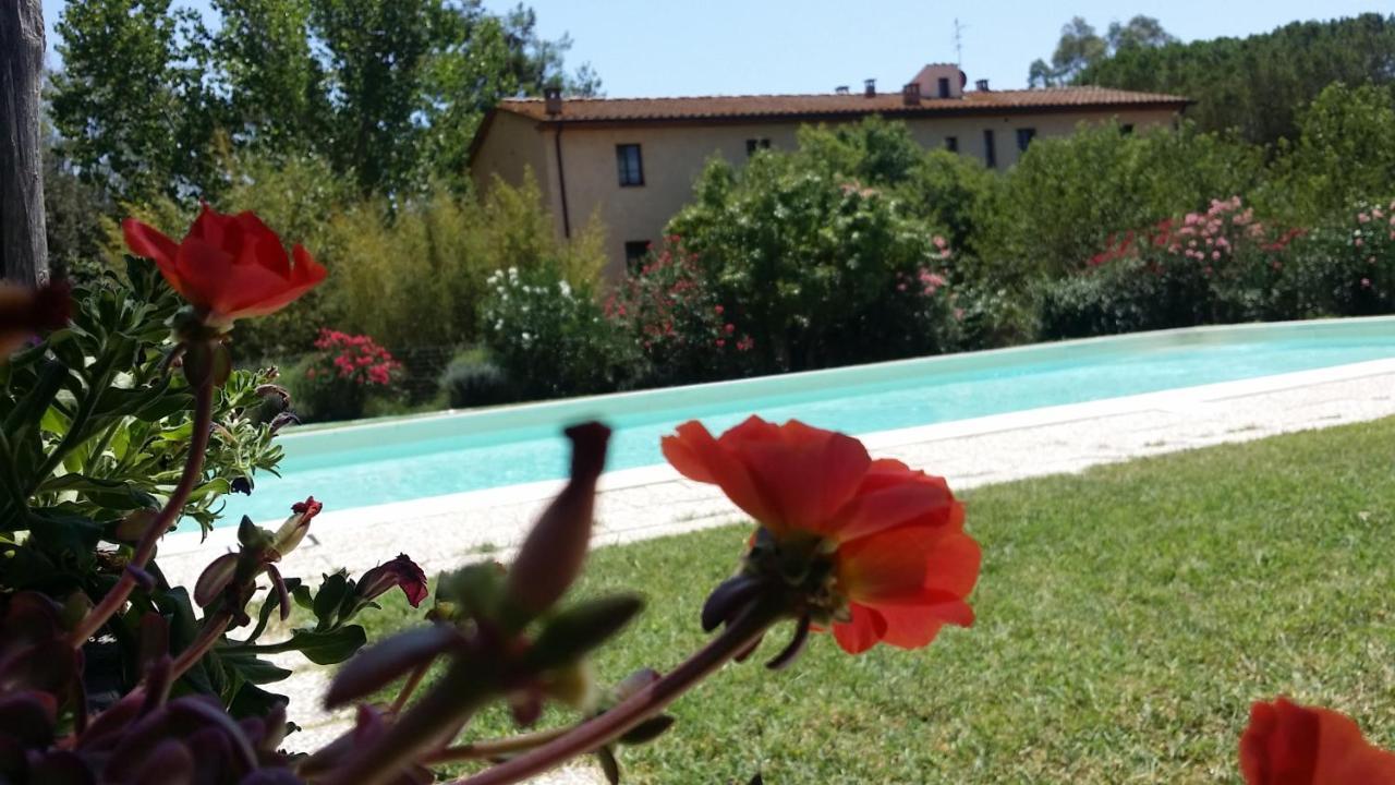 Agriturismo Lupo Vecchio 格罗塞托 外观 照片