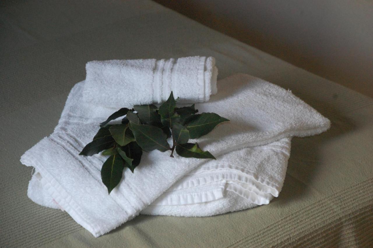 Agriturismo Lupo Vecchio 格罗塞托 外观 照片