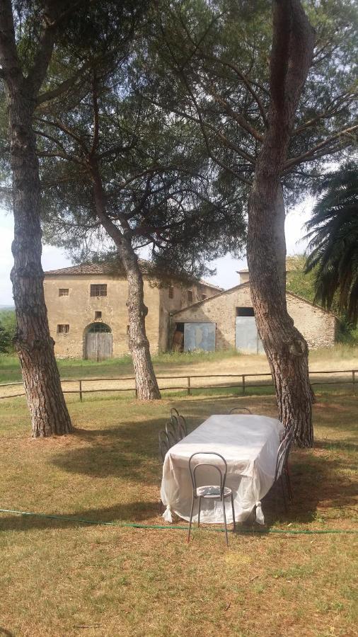 Agriturismo Lupo Vecchio 格罗塞托 外观 照片